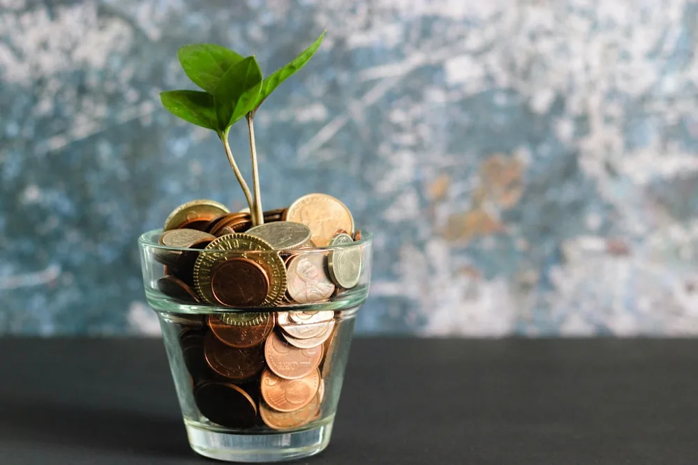 Family savings and budget planning
